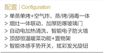 T30单蒸单烤-1.jpg