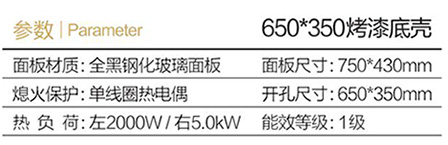Q05气电炉-1.jpg